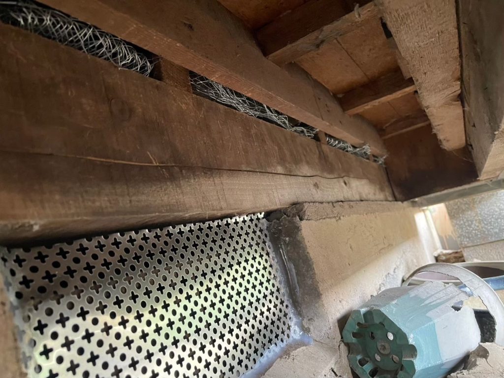 害獣　ハクビシン　消毒　防鼠工事画像