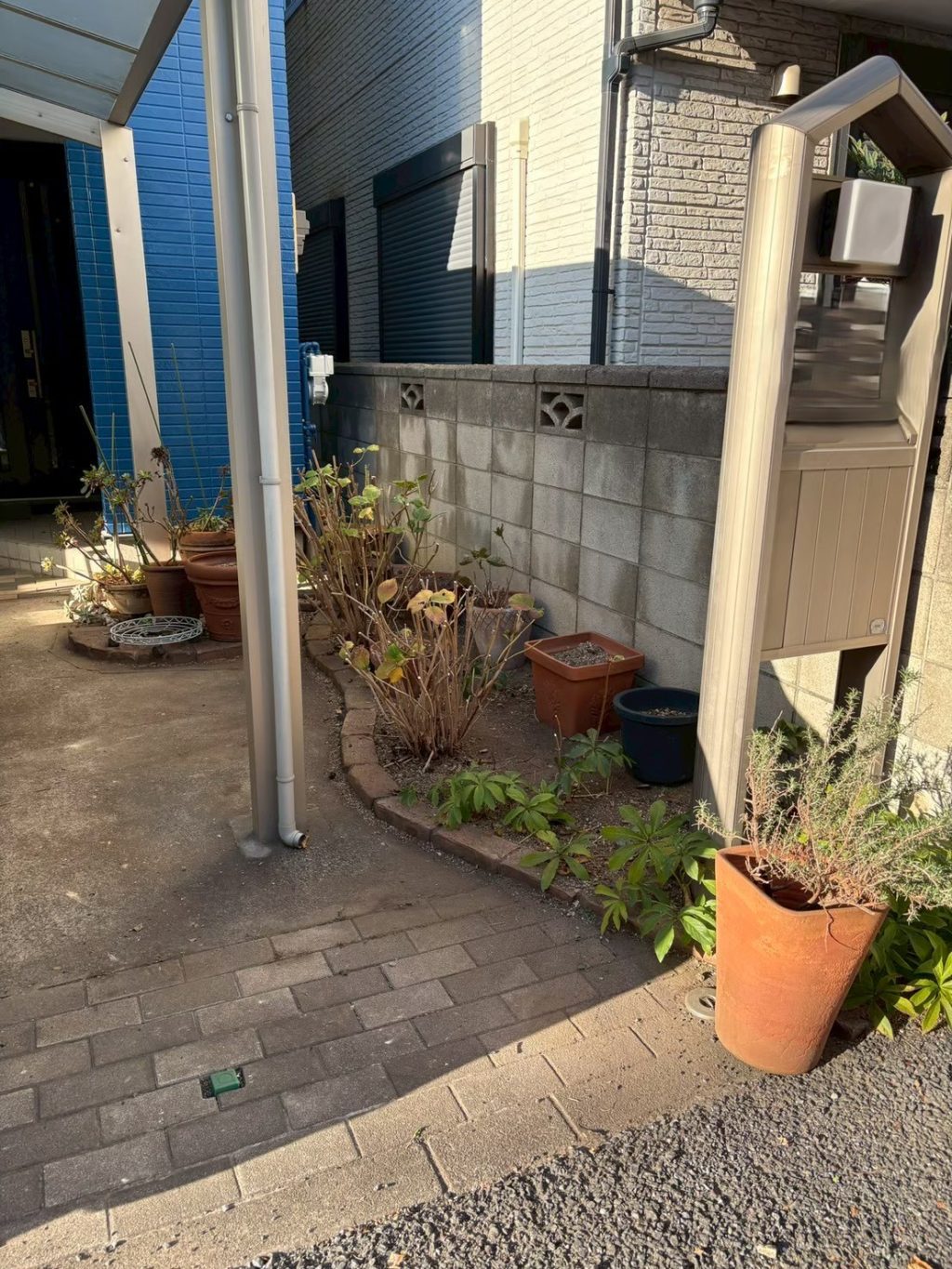植木のお手入れ画像