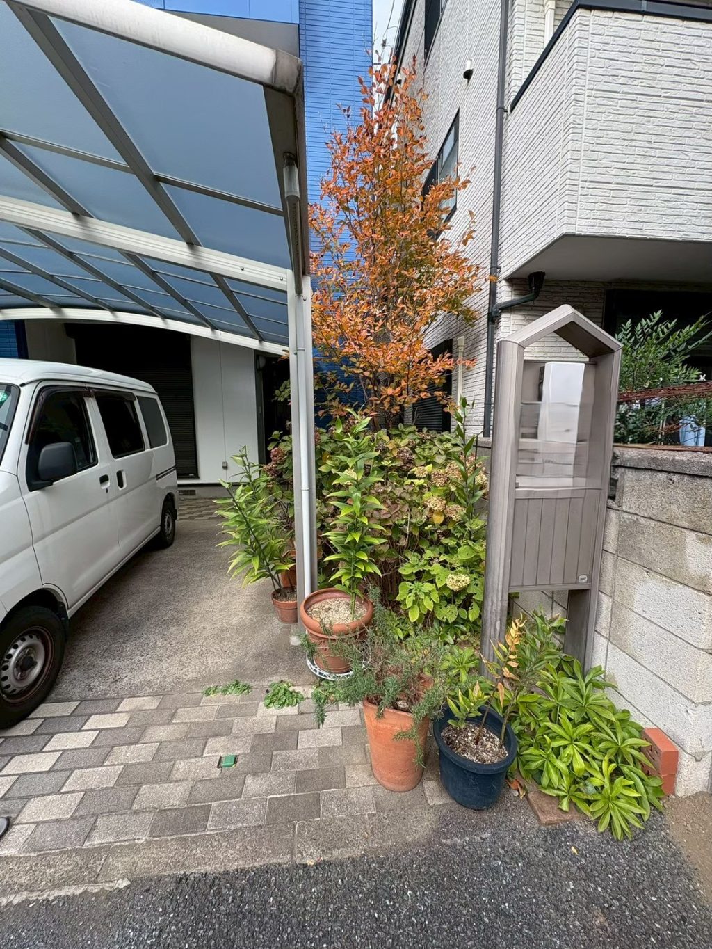 植木のお手入れ